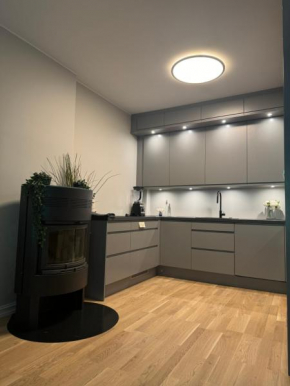 Central apartment in Frogner
